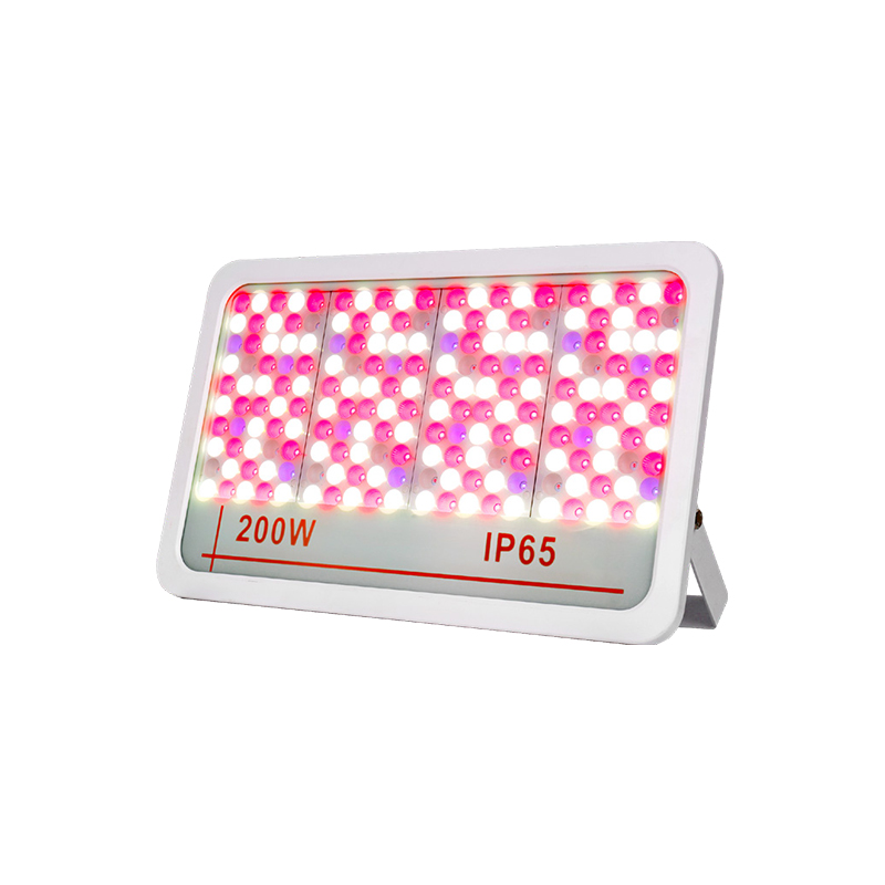 LED -översvämningsljus