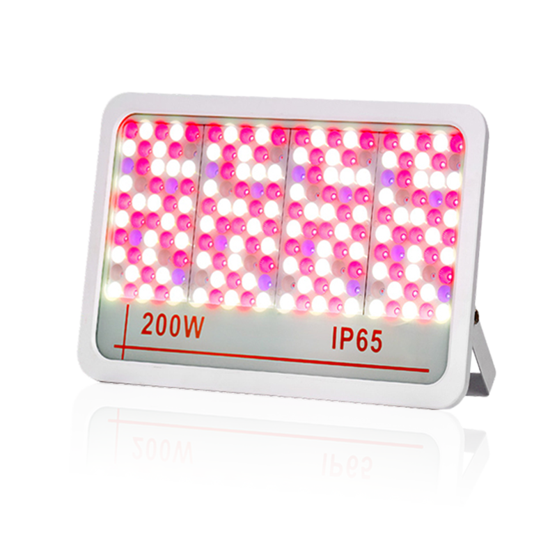LED -översvämningsljus